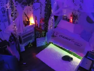 voyeurcam veccasalt 01's Live Sex Cam Show