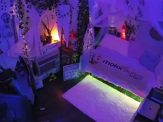 voyeurcam veccasalt 01's Live Sex Cam Show