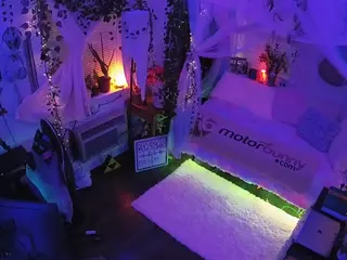 voyeurcam veccasalt 01's Live Sex Cam Show