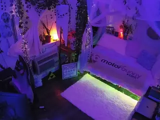 voyeurcam veccasalt 01's Live Sex Cam Show