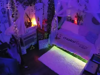 voyeurcam veccasalt 01's Live Sex Cam Show