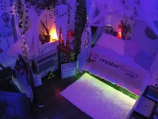 voyeurcam veccasalt 01's Live Sex Cam Show