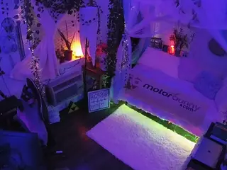 voyeurcam veccasalt 01's Live Sex Cam Show