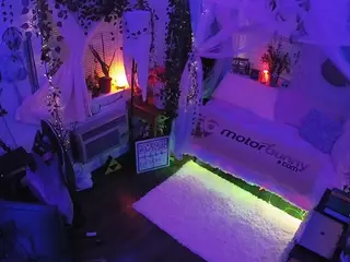 voyeurcam veccasalt 01's Live Sex Cam Show