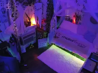 voyeurcam veccasalt 01's Live Sex Cam Show