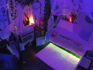 voyeurcam veccasalt 01's Live Sex Cam Show