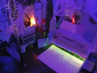 voyeurcam veccasalt 01's Live Sex Cam Show