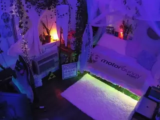 voyeurcam veccasalt 01's Live Sex Cam Show