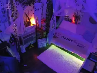 voyeurcam veccasalt 01's Live Sex Cam Show