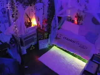 voyeurcam veccasalt 01's Live Sex Cam Show