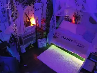 voyeurcam veccasalt 01's Live Sex Cam Show