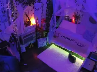 voyeurcam veccasalt 01's Live Sex Cam Show