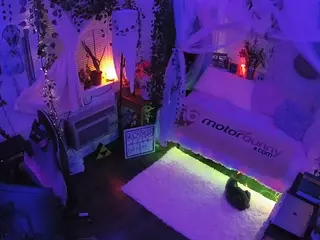 voyeurcam veccasalt 01's Live Sex Cam Show