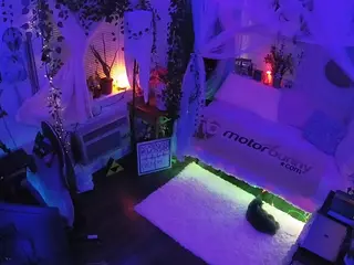 voyeurcam veccasalt 01's Live Sex Cam Show