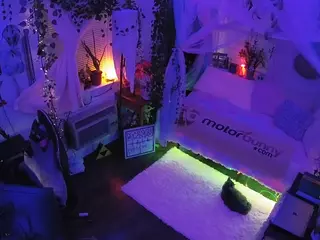 voyeurcam veccasalt 01's Live Sex Cam Show