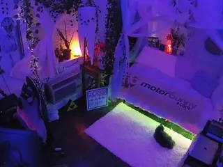 voyeurcam veccasalt 01's Live Sex Cam Show