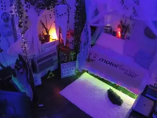 voyeurcam veccasalt 01's Live Sex Cam Show