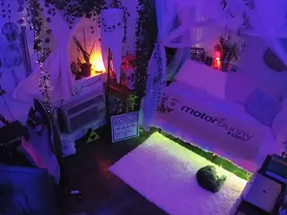 voyeurcam veccasalt 01's Live Sex Cam Show