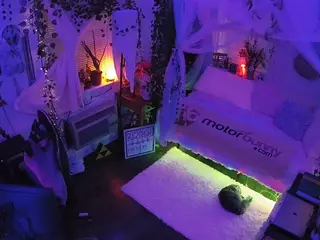 voyeurcam veccasalt 01's Live Sex Cam Show