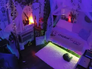 voyeurcam veccasalt 01's Live Sex Cam Show