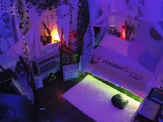 voyeurcam veccasalt 01's Live Sex Cam Show