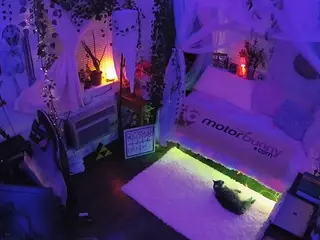 voyeurcam veccasalt 01's Live Sex Cam Show