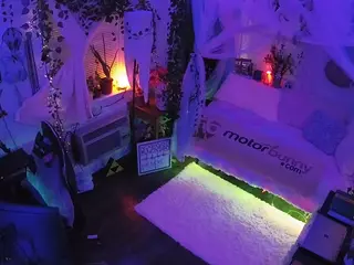 voyeurcam veccasalt 01's Live Sex Cam Show