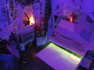 voyeurcam veccasalt 01's Live Sex Cam Show