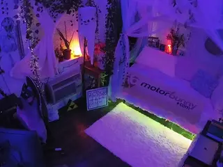voyeurcam veccasalt 01's Live Sex Cam Show