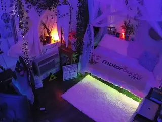 voyeurcam veccasalt 01's Live Sex Cam Show