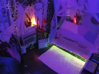 voyeurcam veccasalt 01's Live Sex Cam Show
