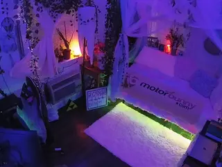 voyeurcam veccasalt 01's Live Sex Cam Show