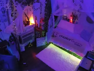 voyeurcam veccasalt 01's Live Sex Cam Show