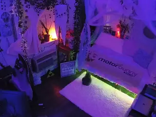 voyeurcam veccasalt 01's Live Sex Cam Show