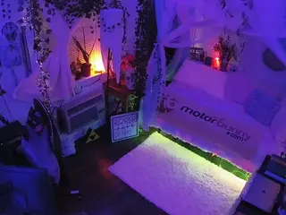 voyeurcam veccasalt 01's Live Sex Cam Show