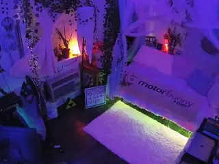 voyeurcam veccasalt 01's Live Sex Cam Show
