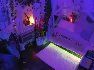voyeurcam veccasalt 01's Live Sex Cam Show
