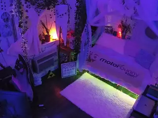 voyeurcam veccasalt 01's Live Sex Cam Show