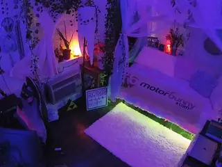 voyeurcam veccasalt 01's Live Sex Cam Show