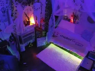 voyeurcam veccasalt 01's Live Sex Cam Show