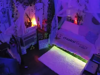voyeurcam veccasalt 01's Live Sex Cam Show