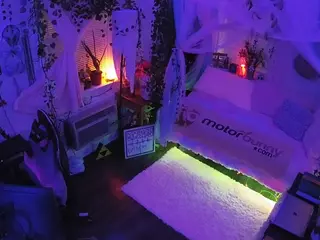 voyeurcam veccasalt 01's Live Sex Cam Show