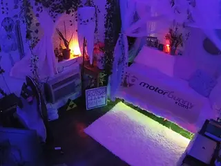 voyeurcam veccasalt 01's Live Sex Cam Show