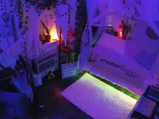 voyeurcam veccasalt 01's Live Sex Cam Show