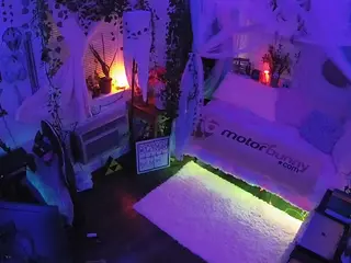 voyeurcam veccasalt 01's Live Sex Cam Show