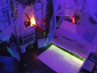 voyeurcam veccasalt 01's Live Sex Cam Show