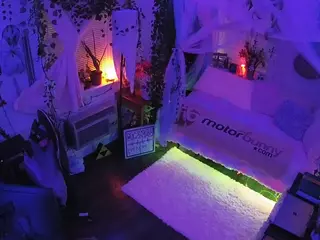 voyeurcam veccasalt 01's Live Sex Cam Show