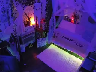 voyeurcam veccasalt 01's Live Sex Cam Show