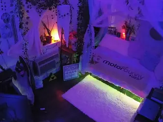voyeurcam veccasalt 01's Live Sex Cam Show