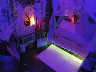voyeurcam veccasalt 01's Live Sex Cam Show